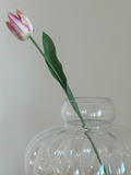 Vintage Blush Tulip