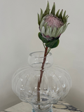 Sage Lotus Protea
