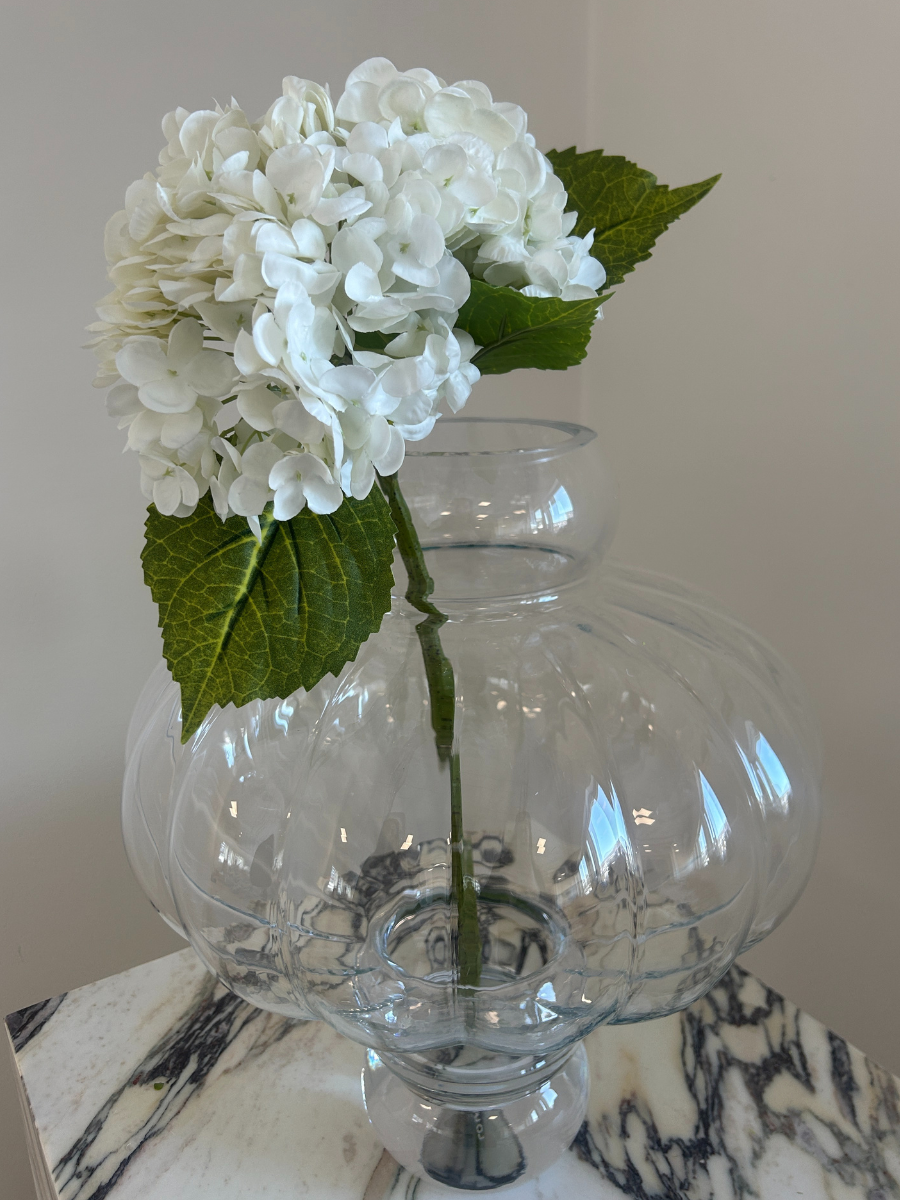Snow White Hydrangea