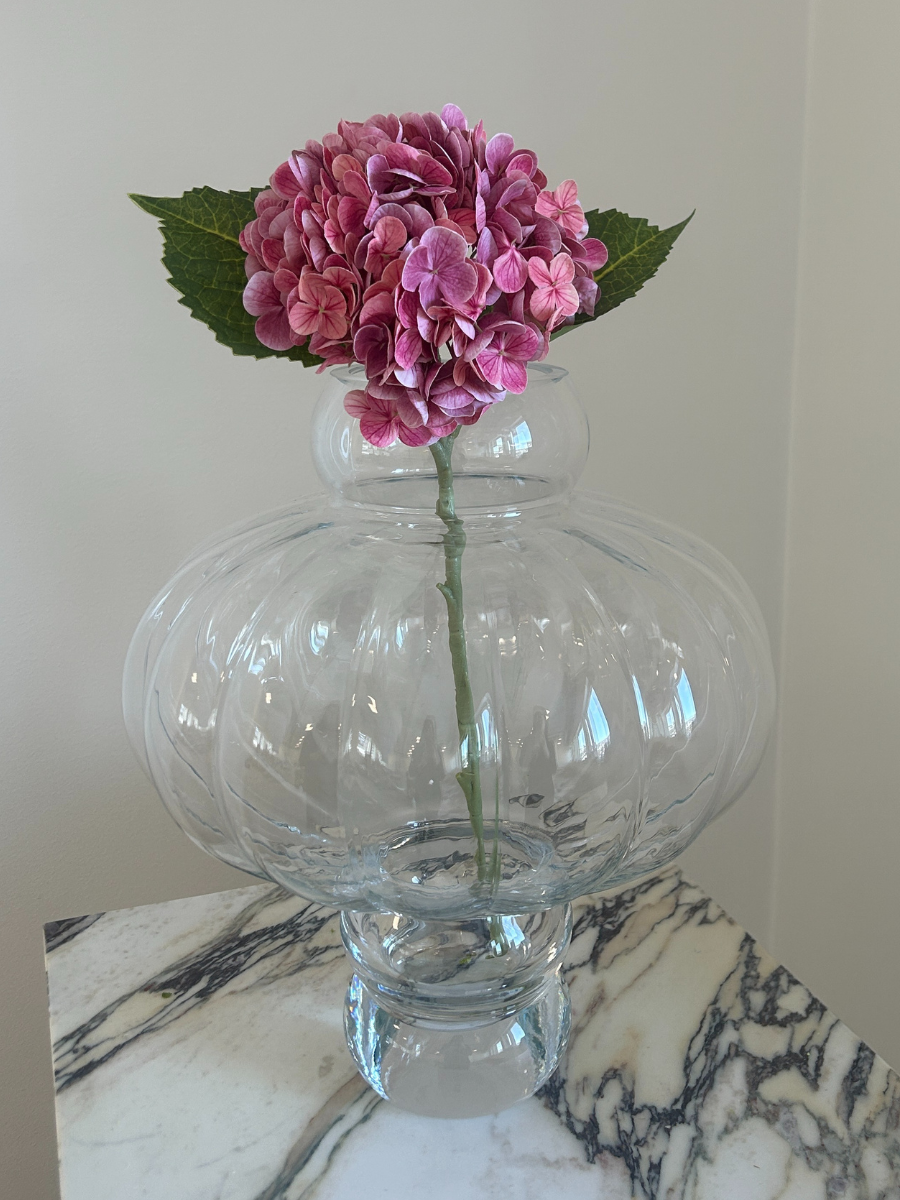 Rosewood Hydrangea