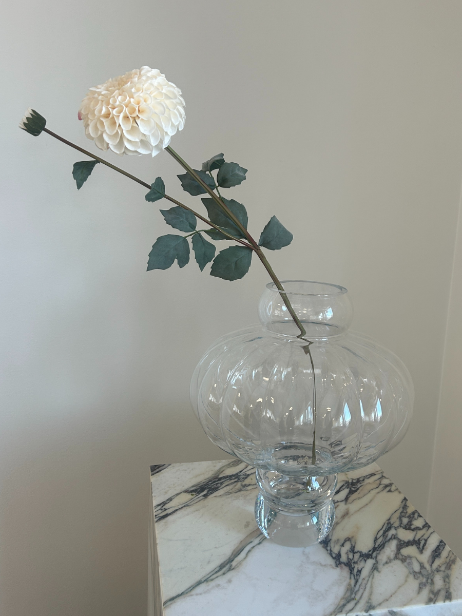 Snow White Dahlia