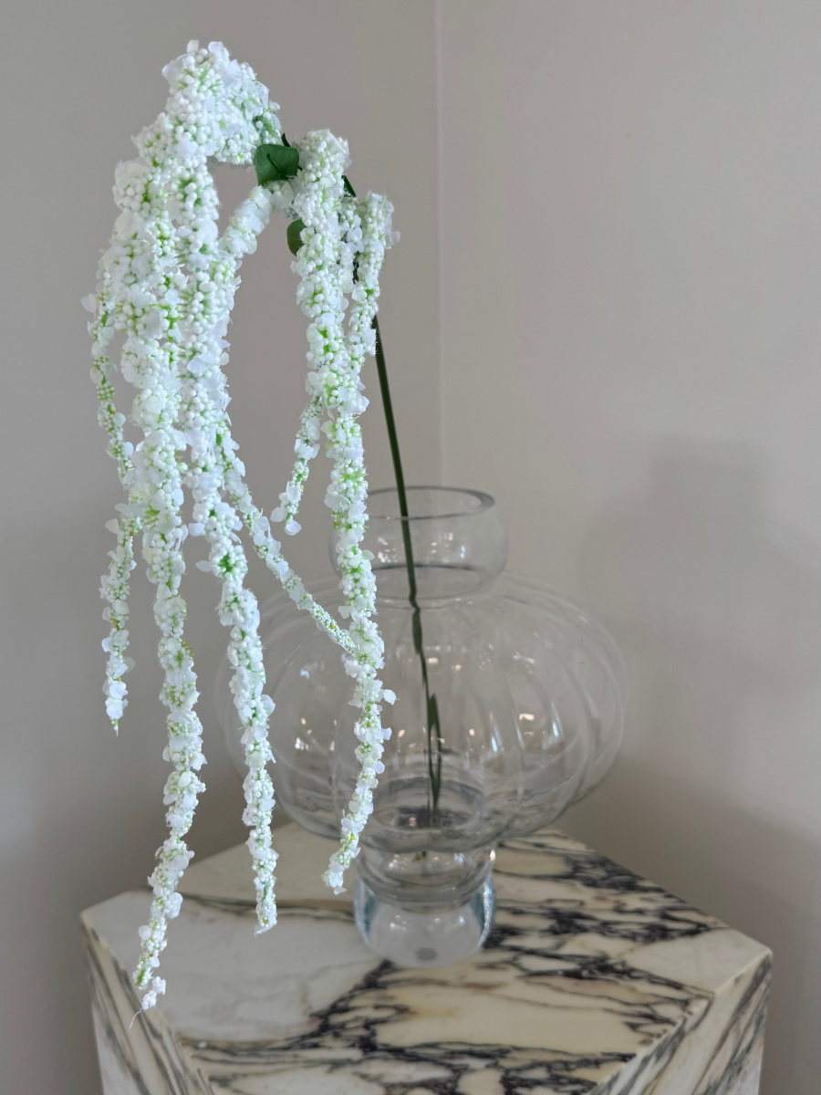 Pure White Amaranthus