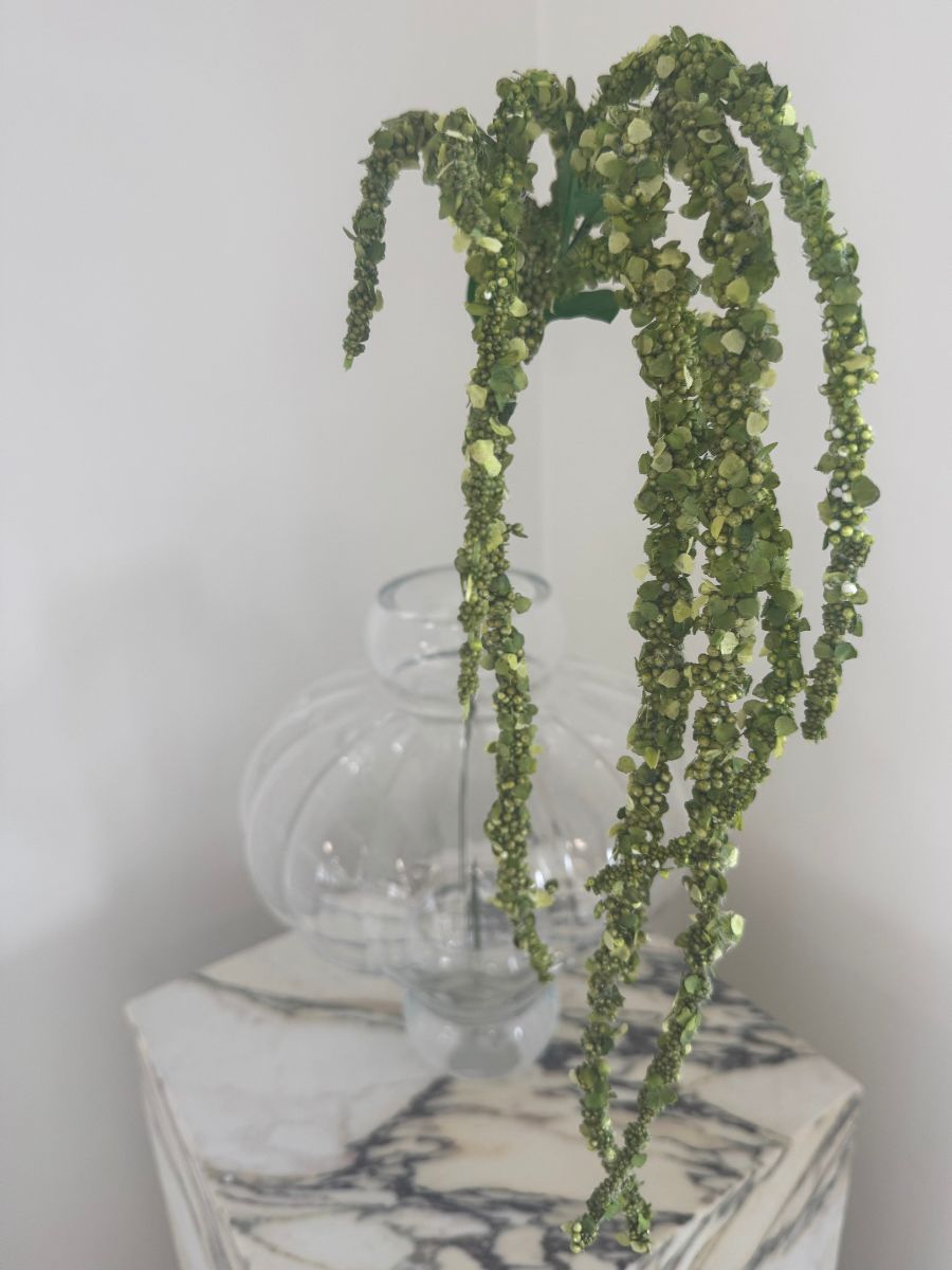 Emerald Amaranthus