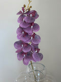 Light Purple Orchid