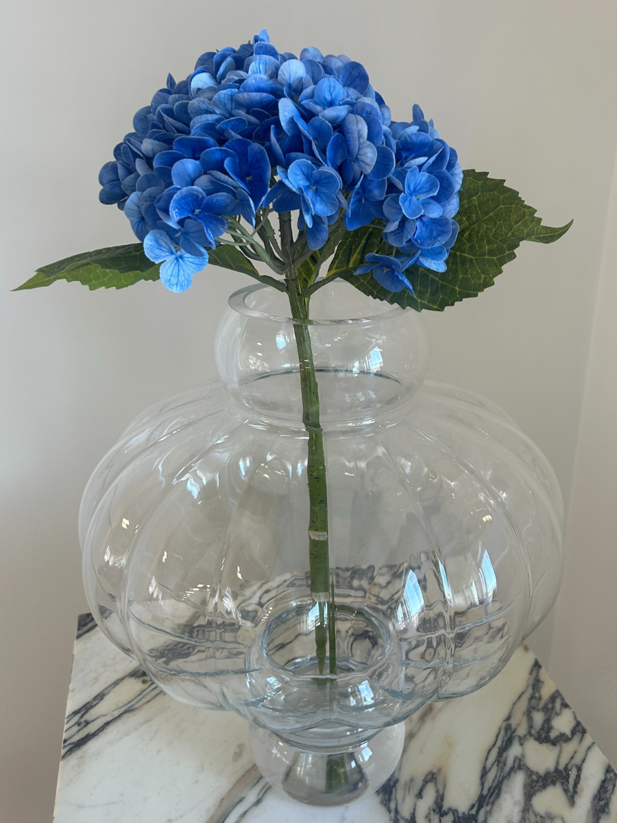 Midnight Blue Hydrangea