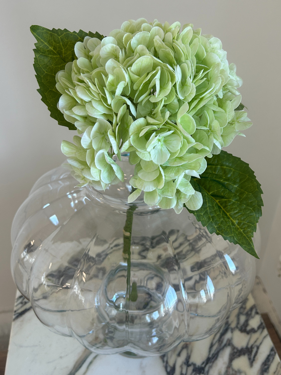 Sage Hydrangea