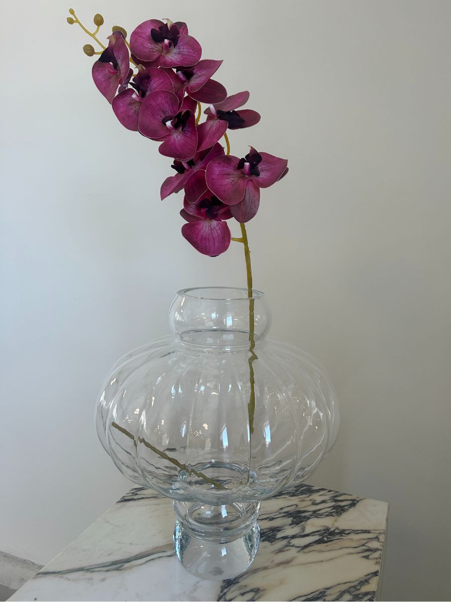 Burgundy Orchid
