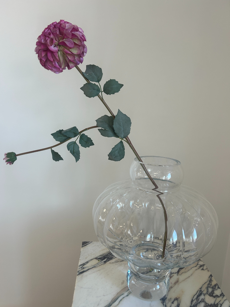 Royal Plum Dahlia