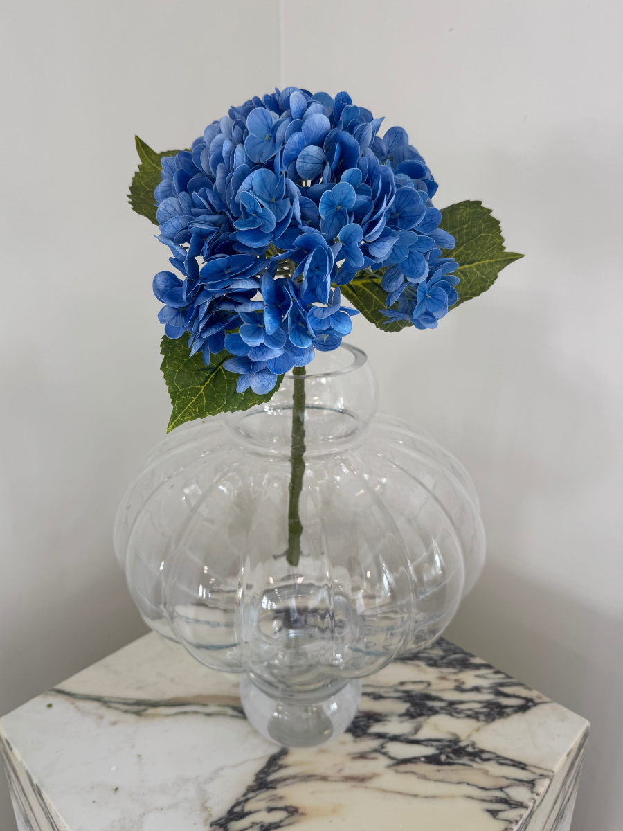 Midnight Blue Hydrangea