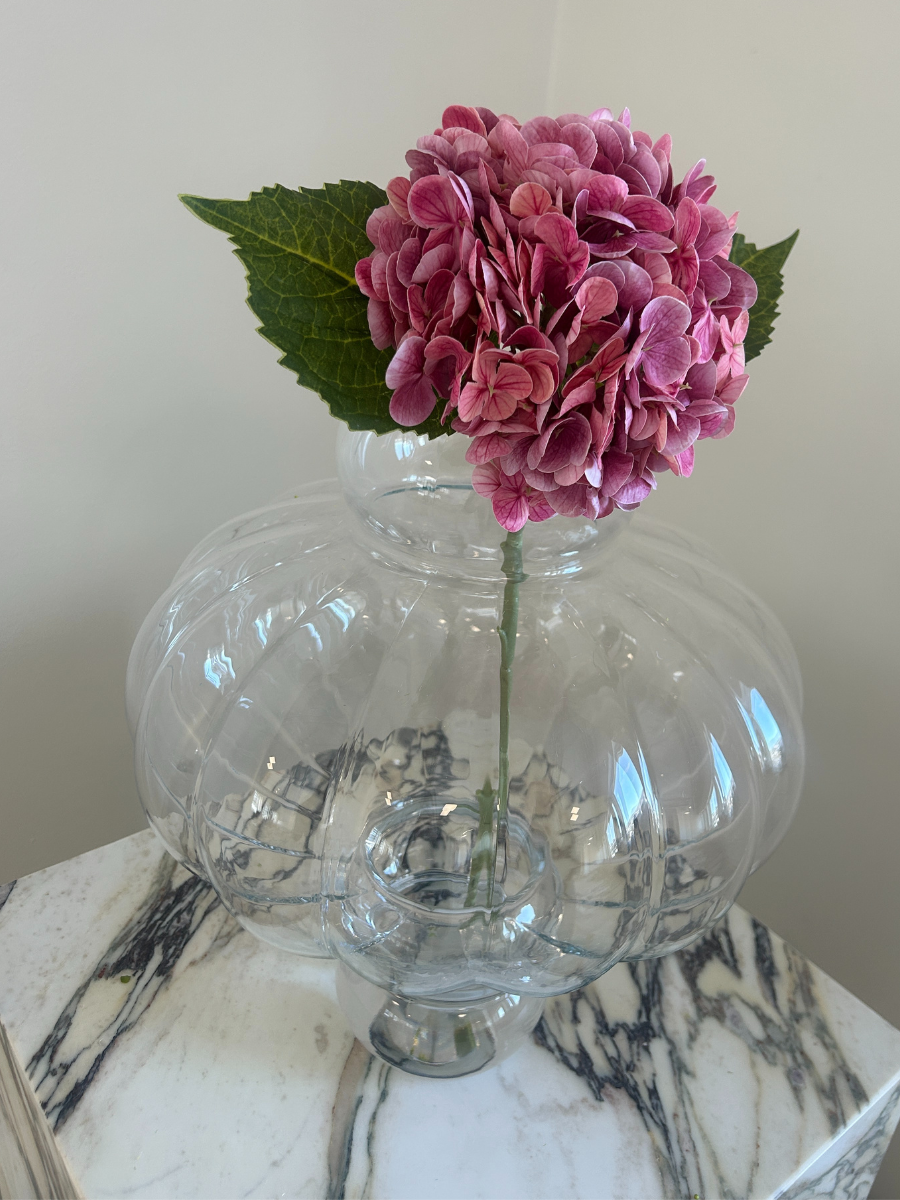 Rosewood Hydrangea