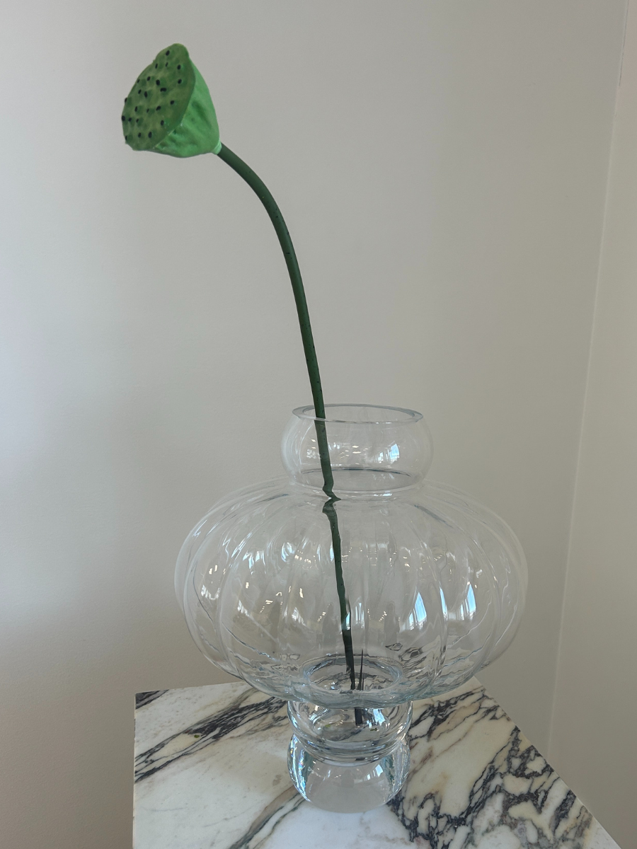 Lotus Seedpod
