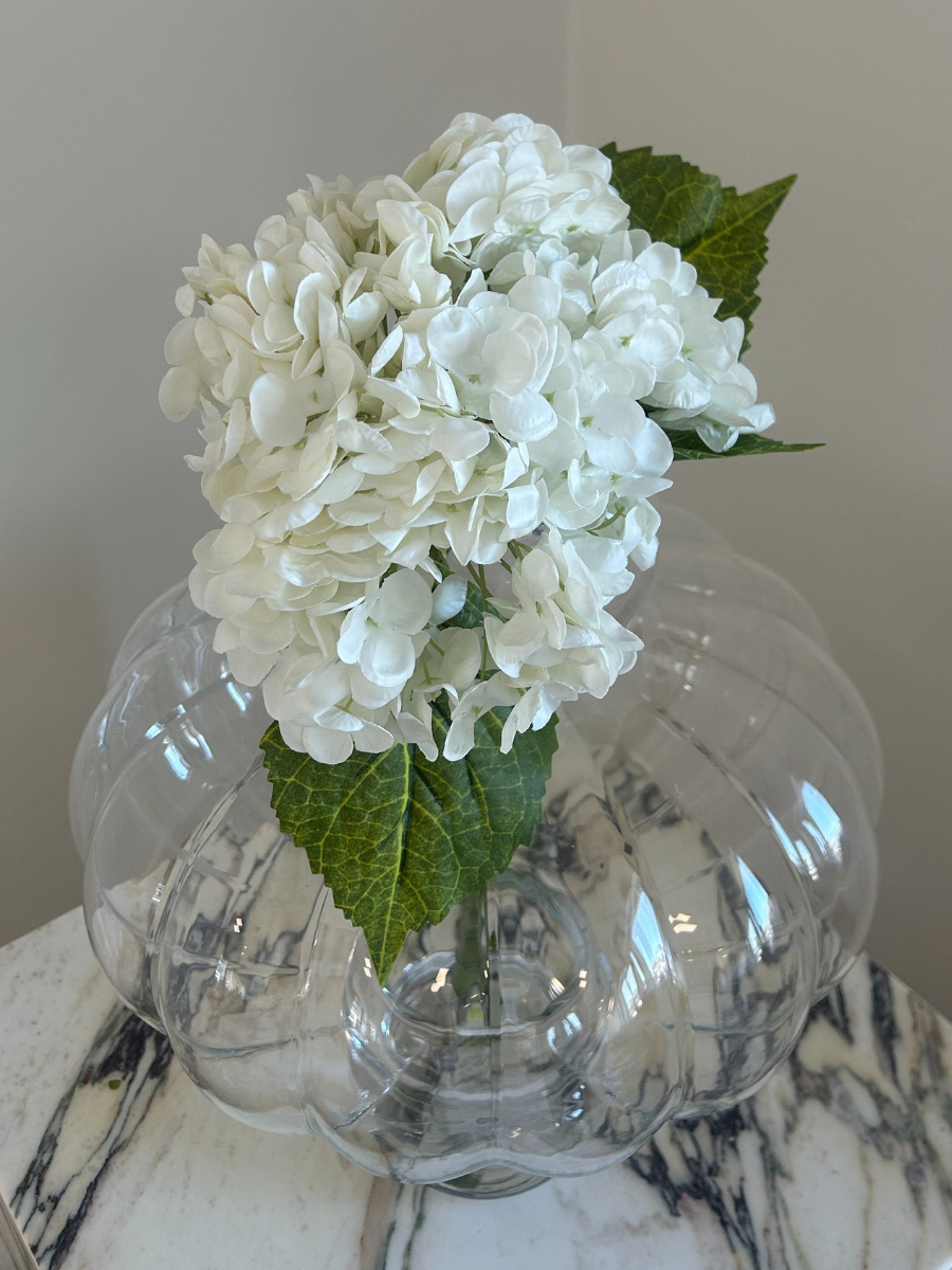 Snow White Hydrangea