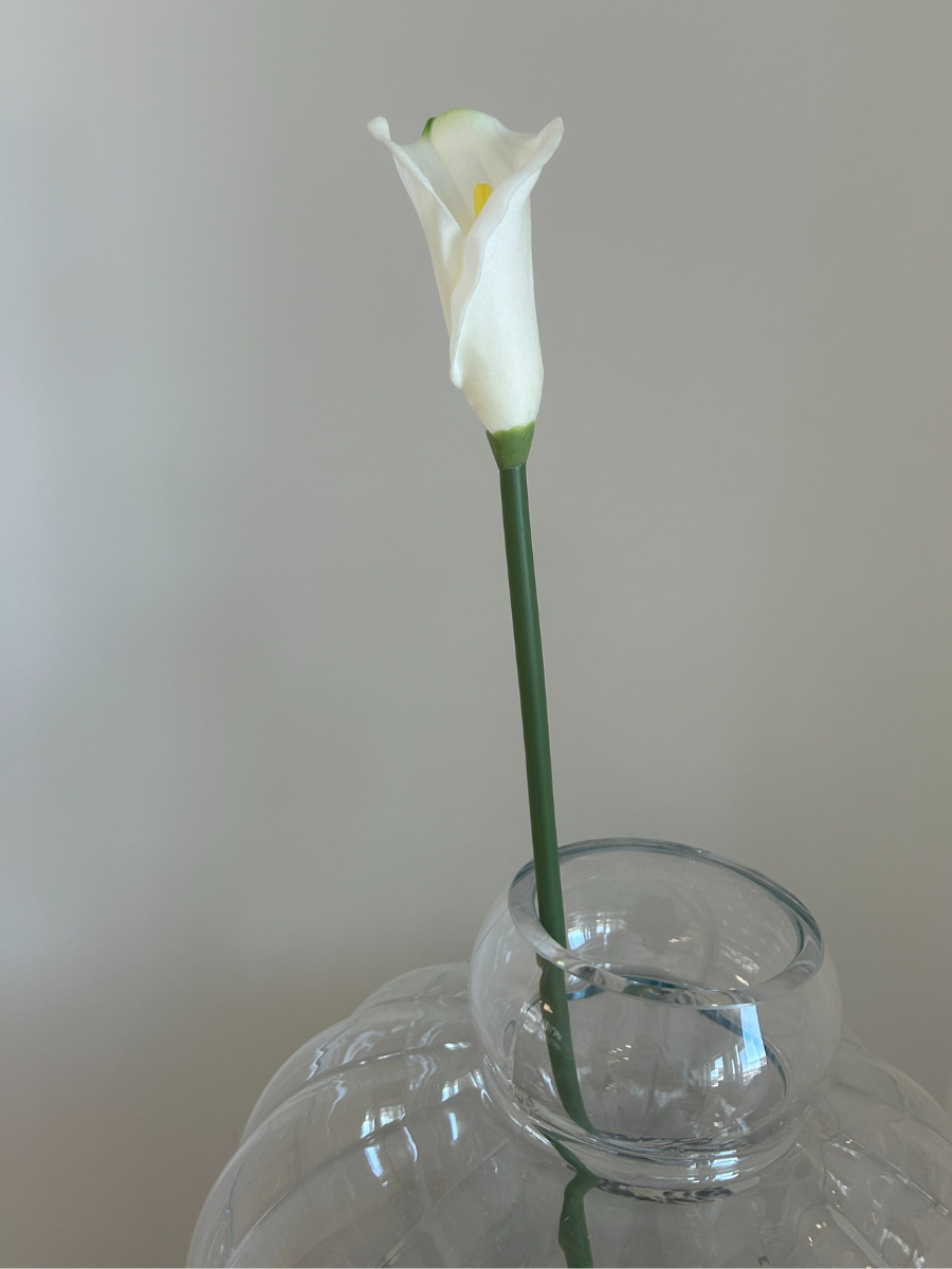 Ivory Calla Lily