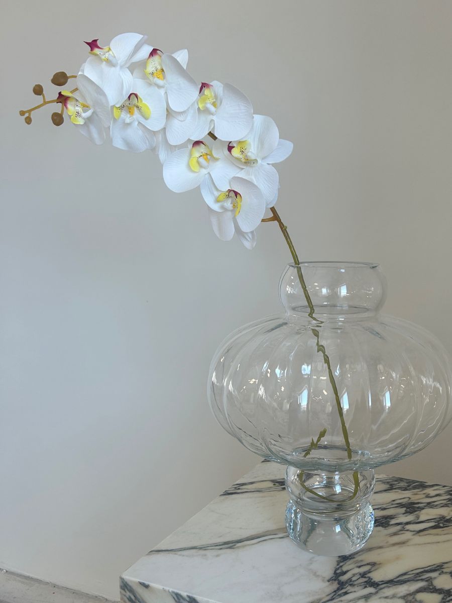 White Mix Orchid