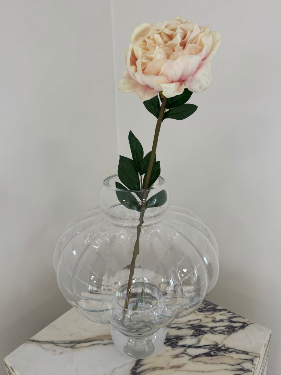 Light Pink Peony