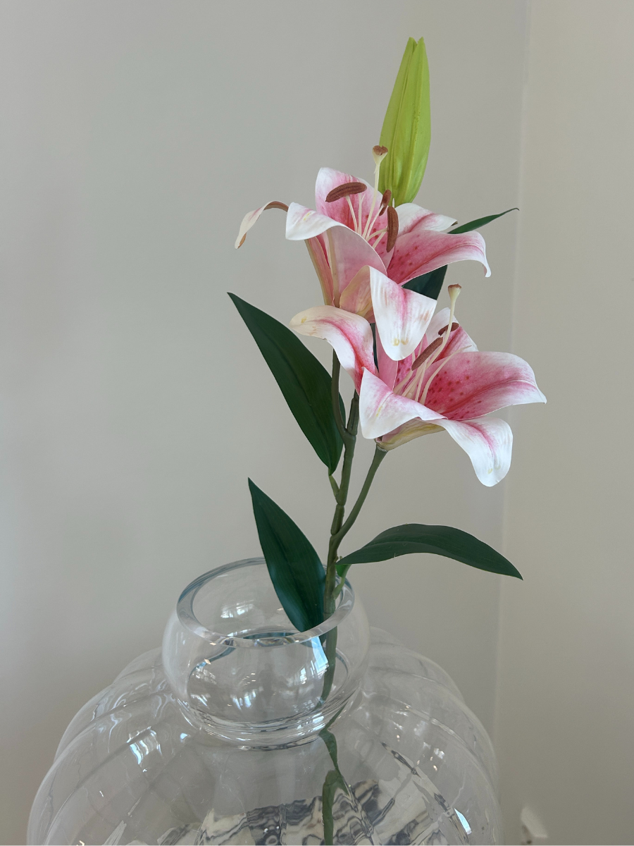 Blush Pink Lily