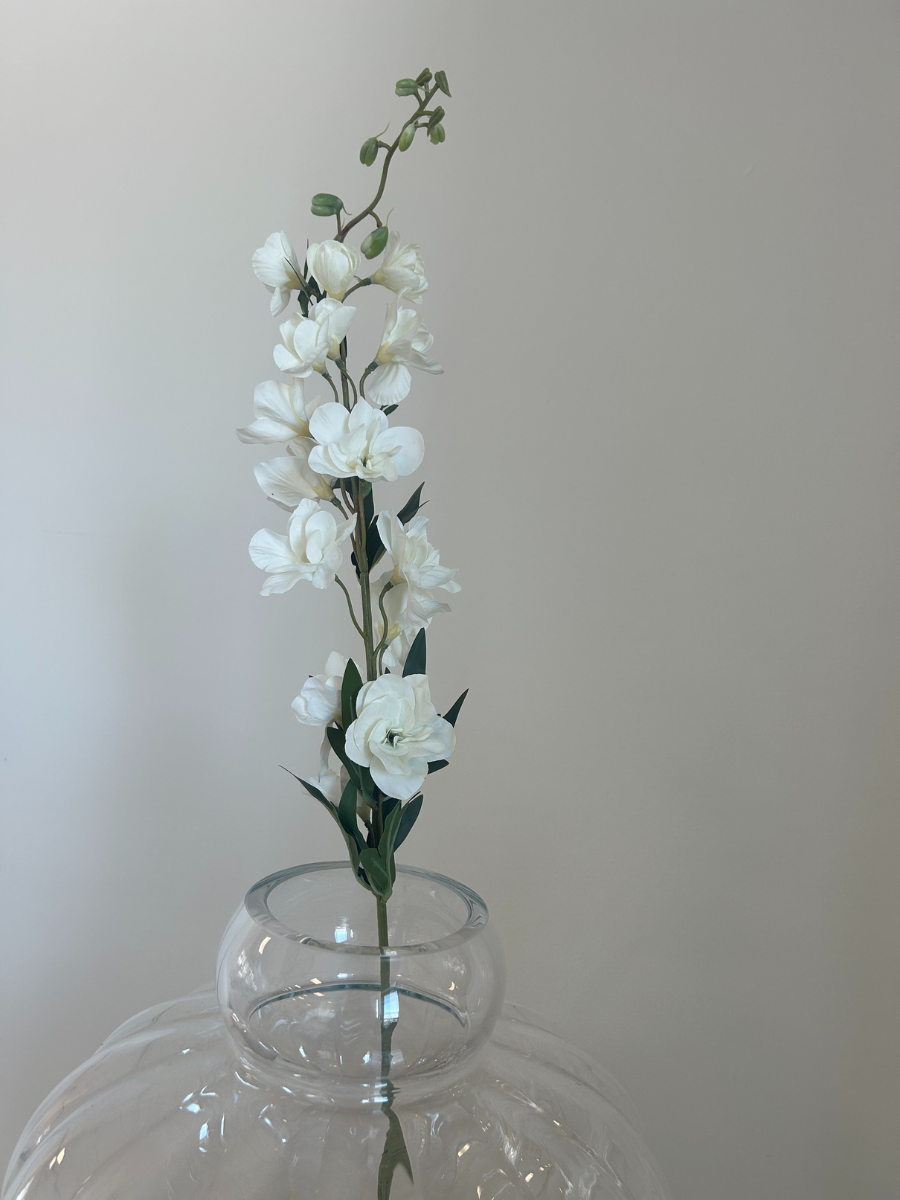 Ivory Delphinium