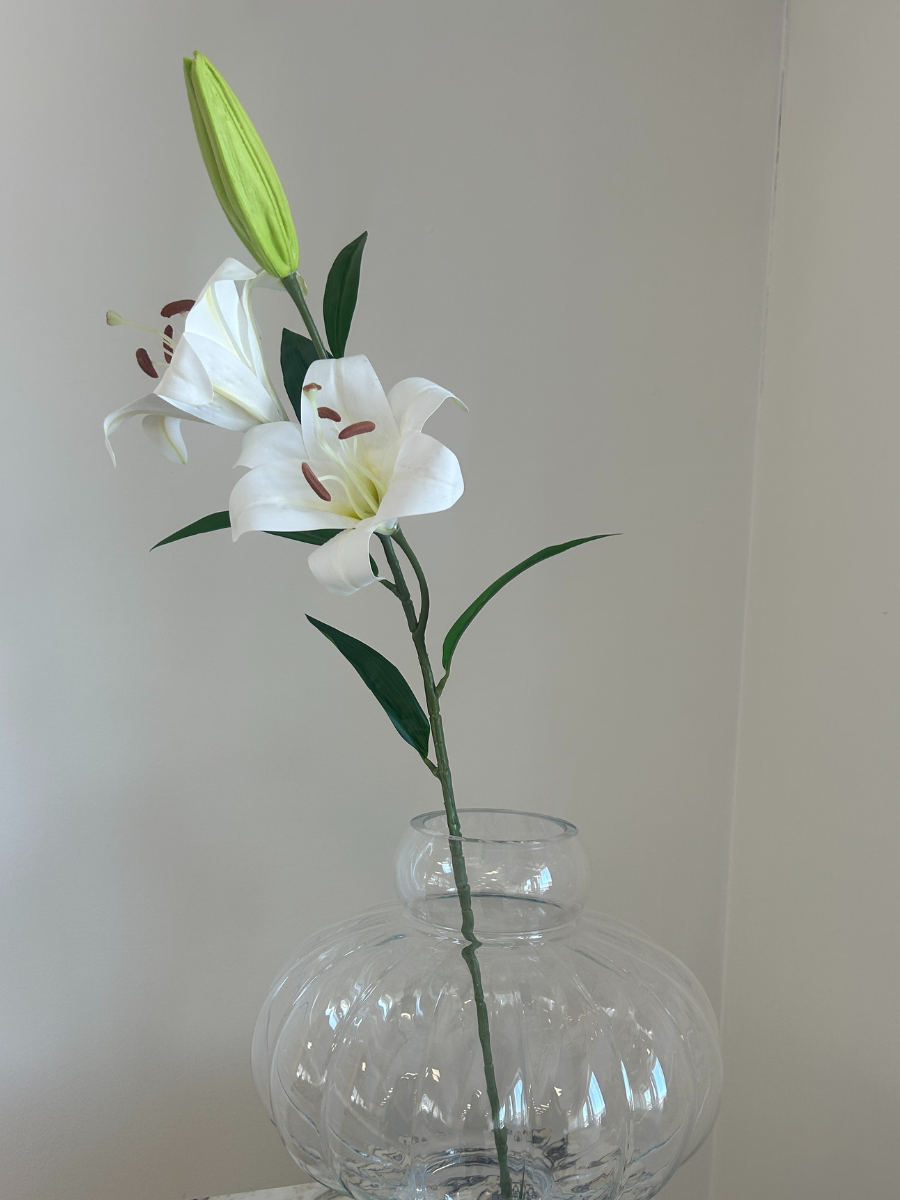 White Large Lily
