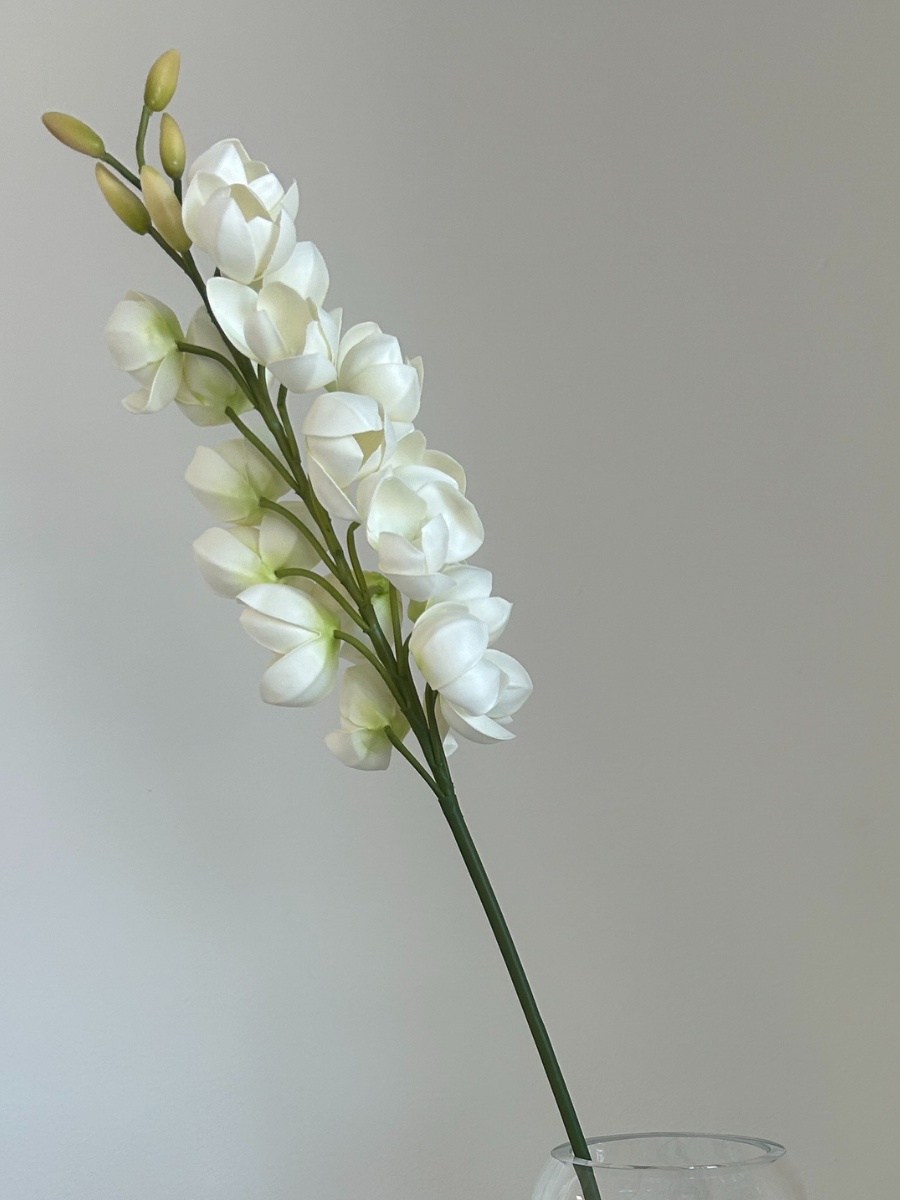 Desert Yucca Stem