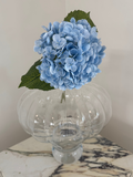 Sky Blue Hydrangea