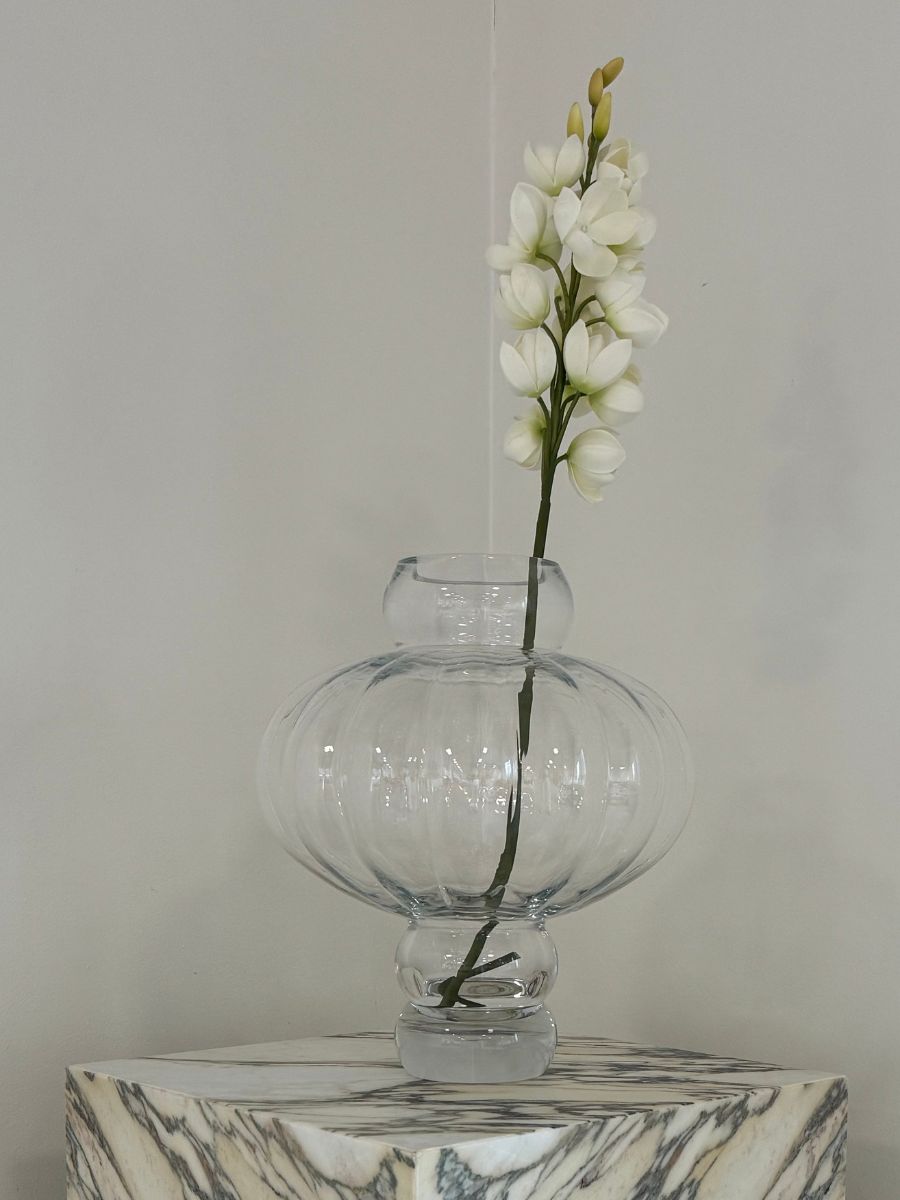 Desert Yucca Stem