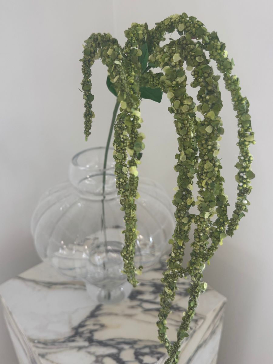 Emerald Amaranthus
