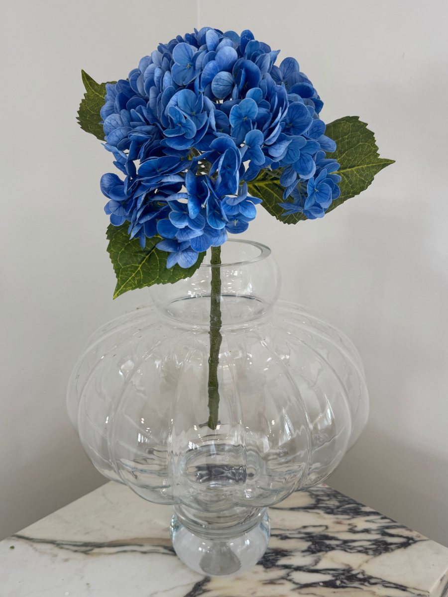 Midnight Blue Hydrangea