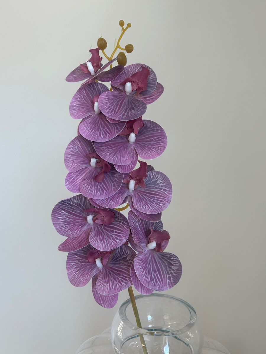 Light Purple Orchid