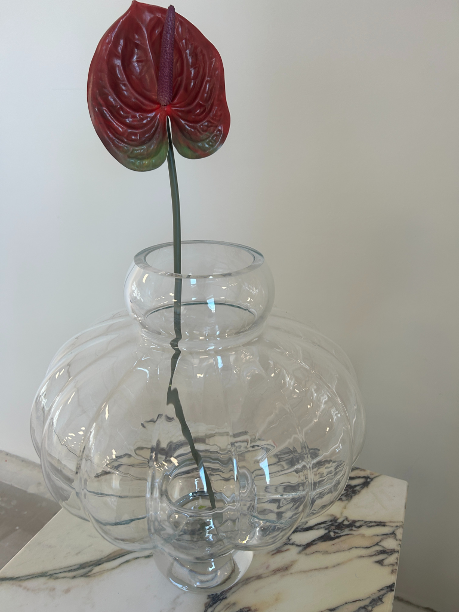 Anthurium Flower Burgundy