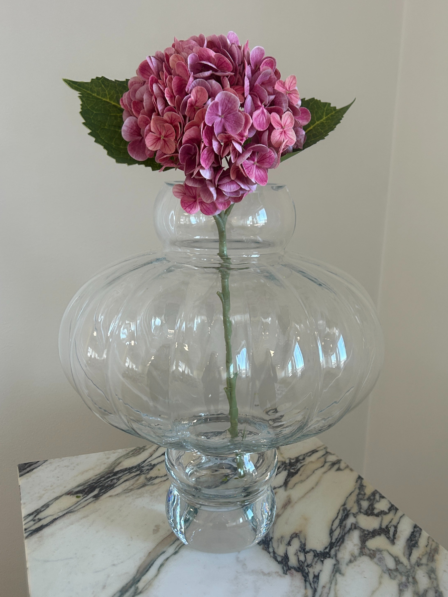 Rosewood Hydrangea