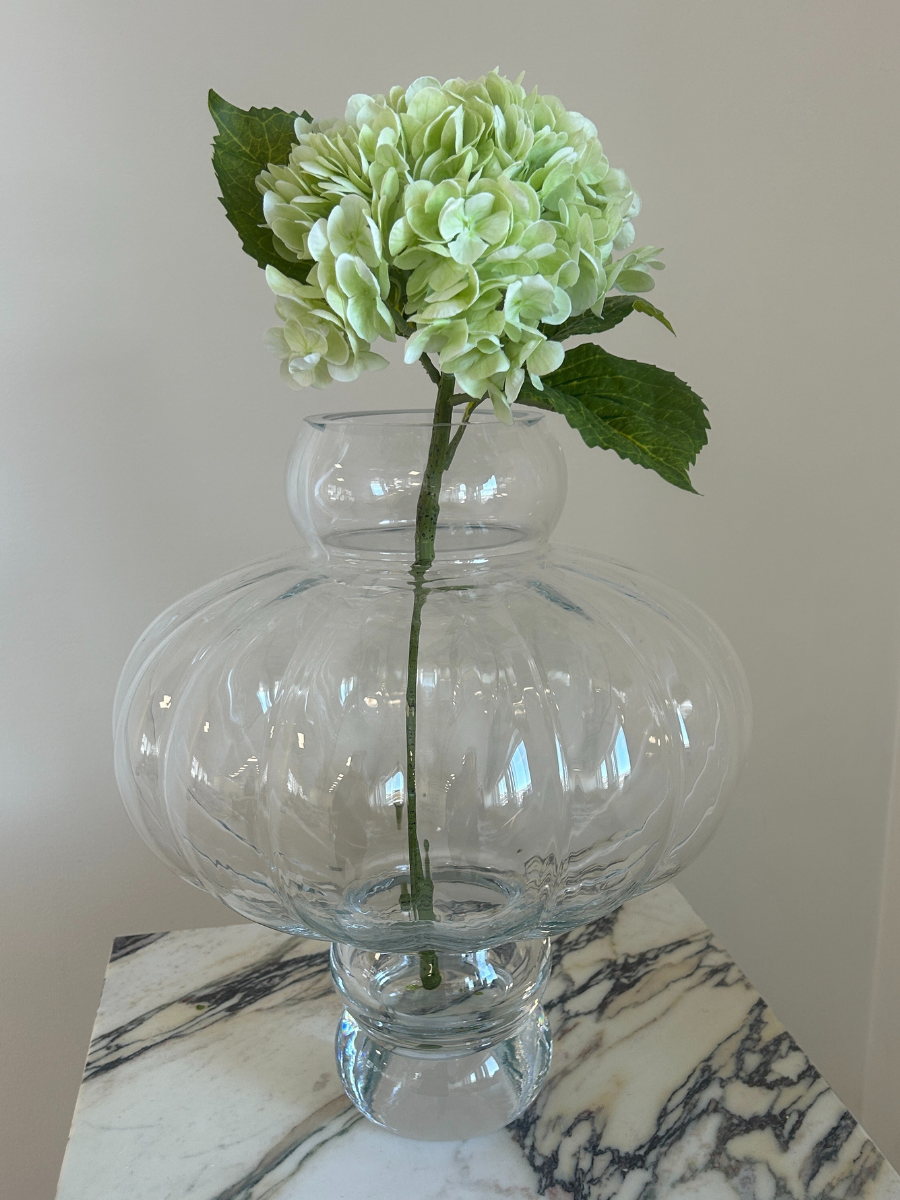 Sage Hydrangea