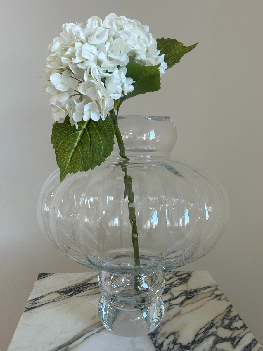 Snow White Hydrangea