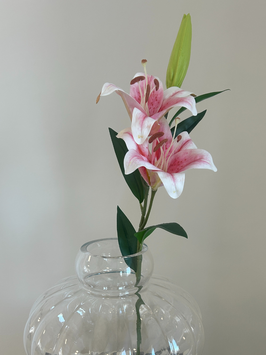 Blush Pink Lily