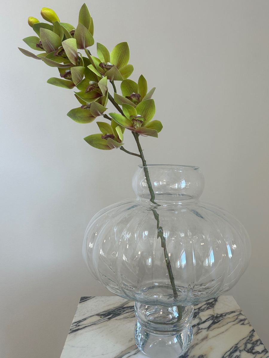 Light Green Cymbidium Orchid