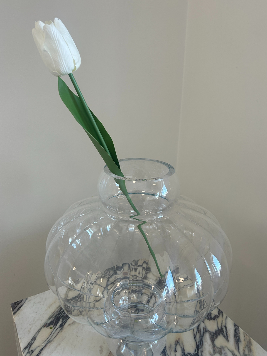 Pure White Tulip
