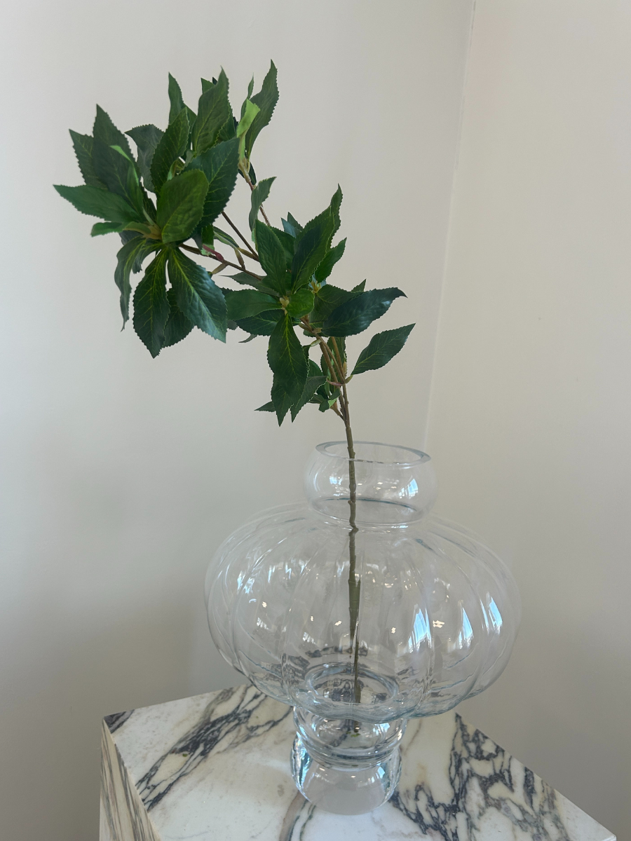 Mediterranean Laurel Stem