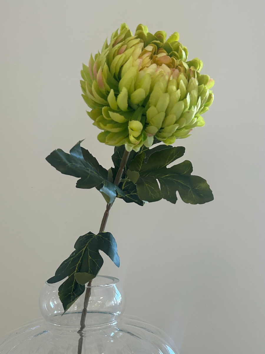 Emerald Chrysanthemum
