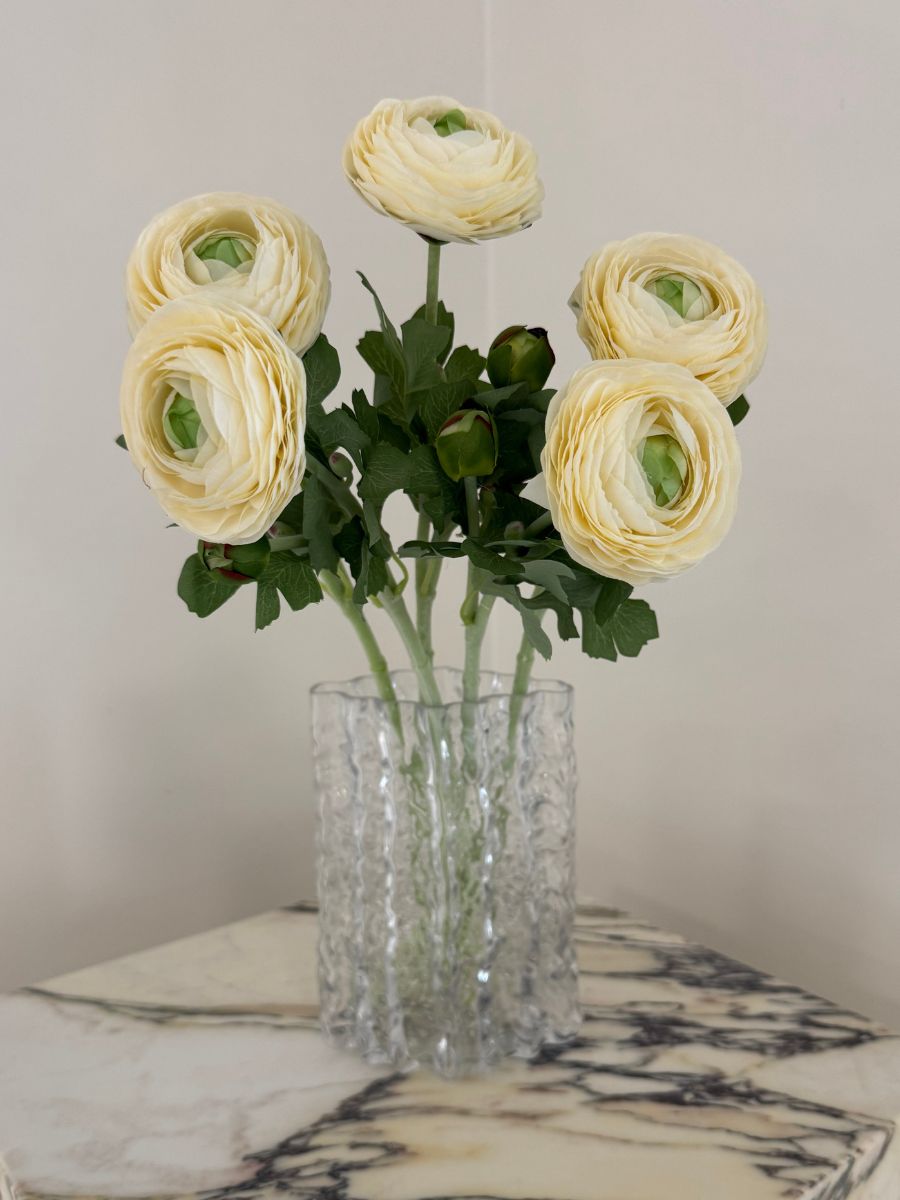 Ranunculus Flower White