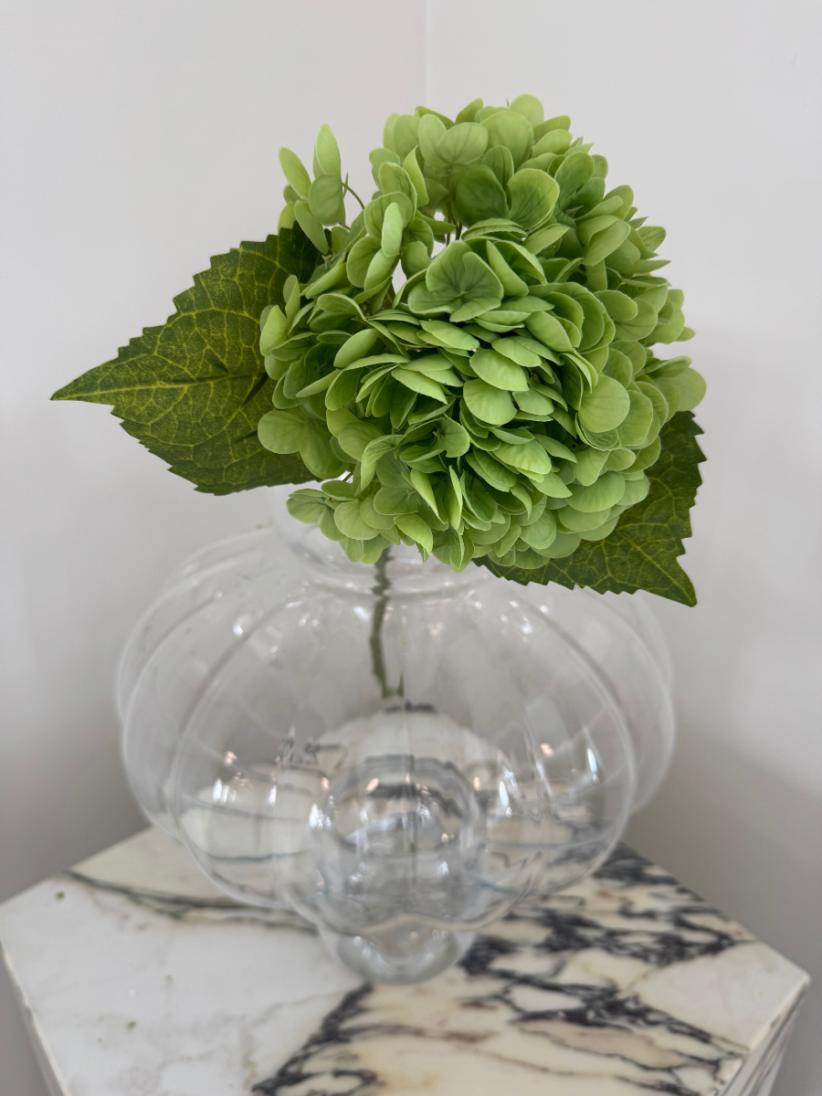 Emerald Hydrangea
