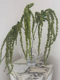 Emerald Amaranthus Bouquet