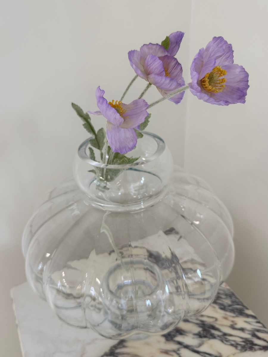 Lavender Mist Poppy