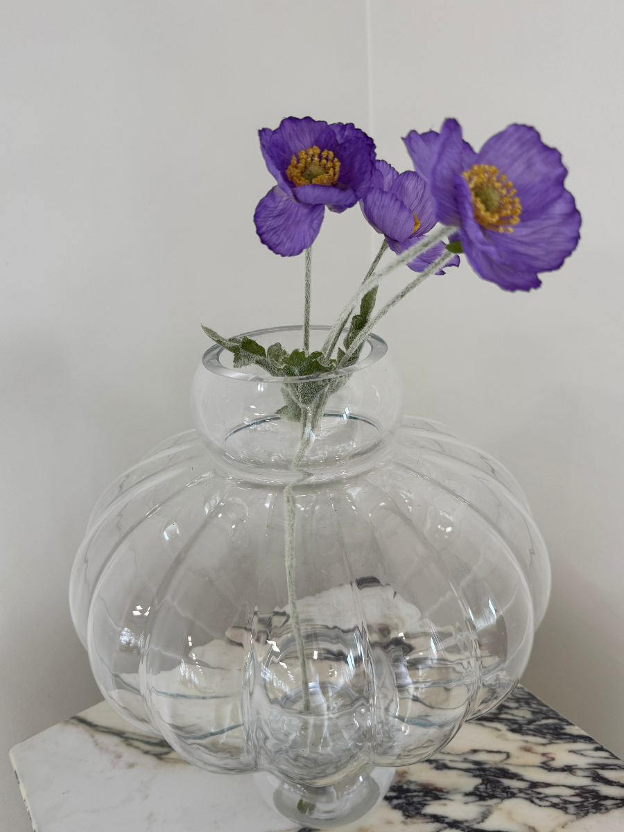 Royal Amethyst Poppy